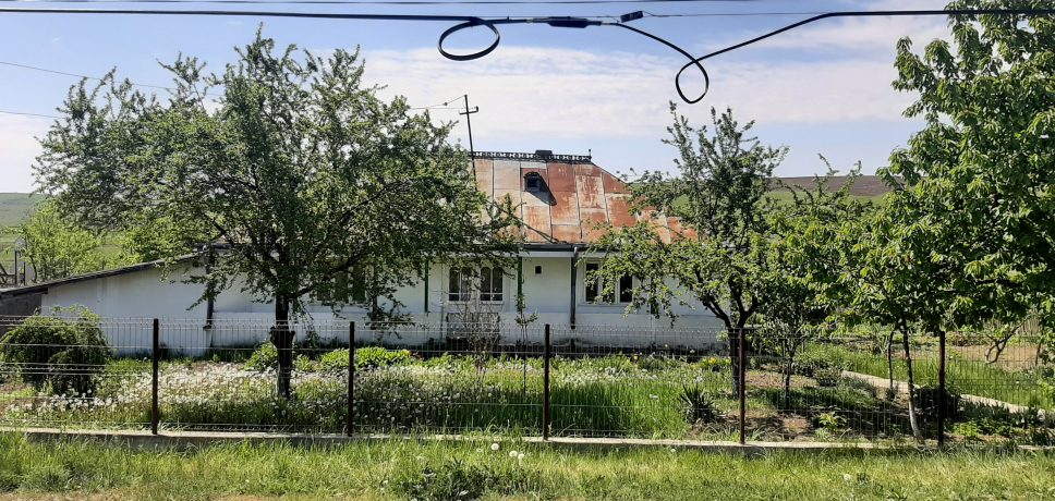 Botoșănenii