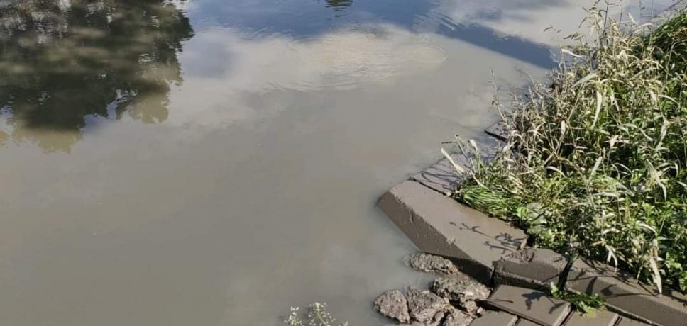 Amendă